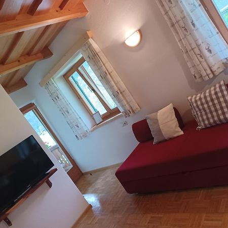 Ferienwohnungen Asterbach Gosau Extérieur photo